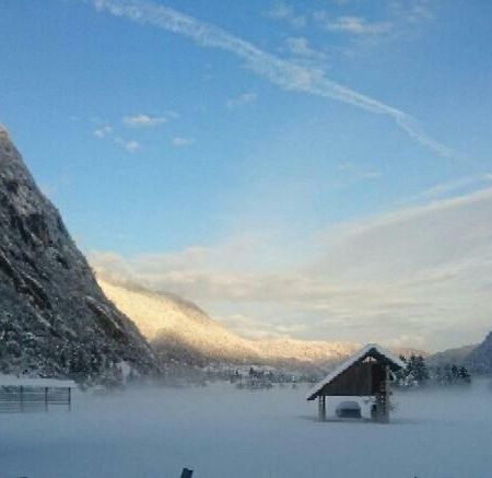 Vihar Apartmaji Bohinji-tó Kültér fotó