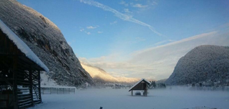 Vihar Apartmaji Bohinji-tó Kültér fotó